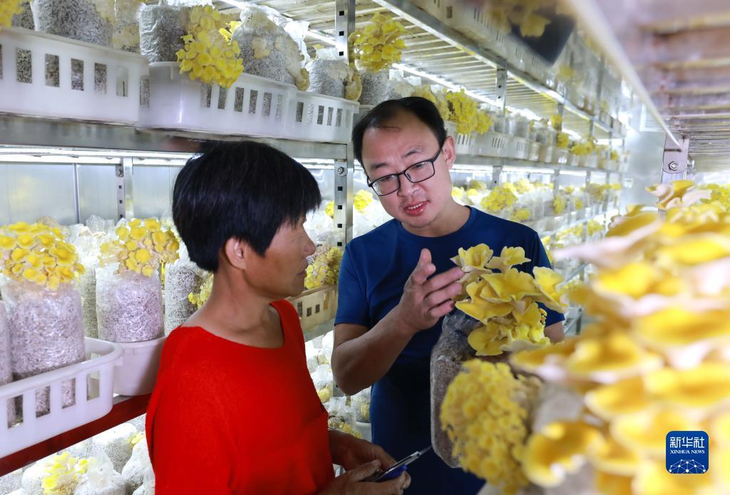 新濠天地线上平台